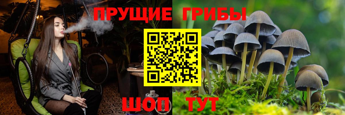 Галлюциногенные грибы мухоморы  Вход с VPN  Тюмень 